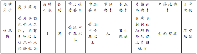 2025云南省大理州弥渡县德苴乡卫生院招聘编制外临床岗位人员公告（1人）-1.png