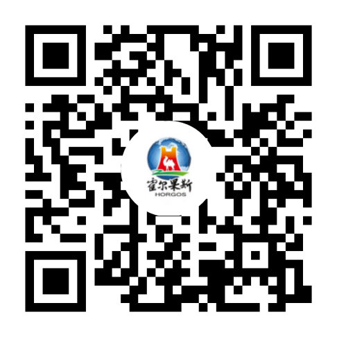 2024霍尔果斯经济开发区（市）医疗卫生领域引进高层次紧缺人才公告（16人）-1.png