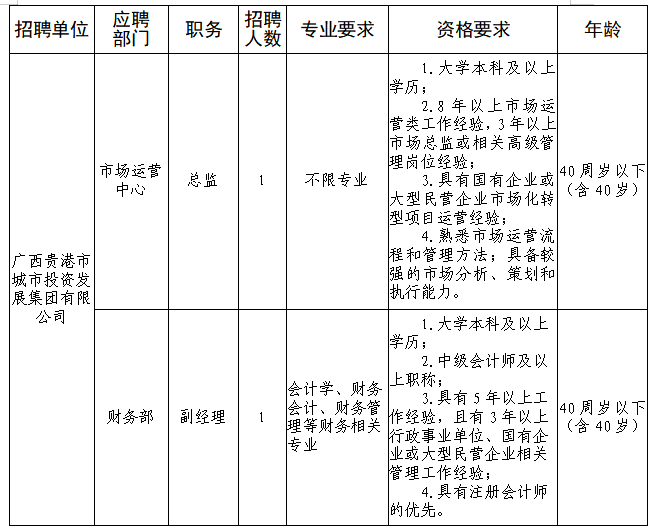 2024广西贵港市城市投资发展集团有限公司招聘2人公告-1.png